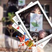 ヒメ日記 2025/01/21 03:58 投稿 あすか ギン妻パラダイス 堺東店