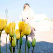 ヒメ日記 2025/02/28 10:48 投稿 あすか ギン妻パラダイス 堺東店