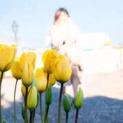 ヒメ日記 2025/03/10 13:37 投稿 あすか ギン妻パラダイス 堺東店