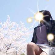 ヒメ日記 2025/03/31 02:40 投稿 あすか ギン妻パラダイス 堺東店