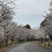 ヒメ日記 2025/03/31 15:21 投稿 あすか ギン妻パラダイス 堺東店