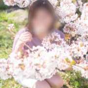 ヒメ日記 2025/04/04 03:32 投稿 あすか ギン妻パラダイス 堺東店