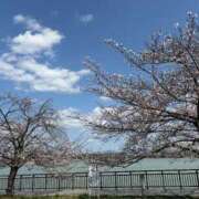 ヒメ日記 2025/04/04 16:09 投稿 あすか ギン妻パラダイス 堺東店