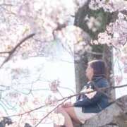 ヒメ日記 2025/04/20 03:30 投稿 あすか ギン妻パラダイス 堺東店