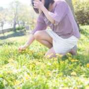 ヒメ日記 2025/04/29 14:34 投稿 あすか ギン妻パラダイス 堺東店