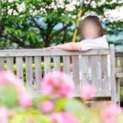 ヒメ日記 2025/05/13 10:29 投稿 あすか ギン妻パラダイス 堺東店