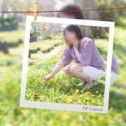 ヒメ日記 2025/05/14 04:13 投稿 あすか ギン妻パラダイス 堺東店