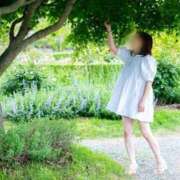 ヒメ日記 2025/07/14 11:17 投稿 あすか ギン妻パラダイス 堺東店