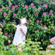 ヒメ日記 2025/08/29 14:29 投稿 あすか ギン妻パラダイス 堺東店