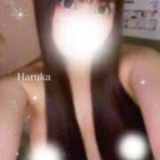 ヒメ日記 2024/12/15 22:58 投稿 はるか 上野ハイブリッドマッサージ