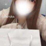 ヒメ日記 2024/12/23 06:38 投稿 はるか 上野ハイブリッドマッサージ