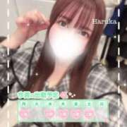 ヒメ日記 2025/03/14 22:28 投稿 はるか 上野ハイブリッドマッサージ