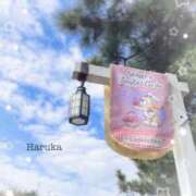 ヒメ日記 2025/02/17 17:58 投稿 はるか 品川ハイブリッドマッサージ