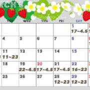 ヒメ日記 2025/02/21 04:58 投稿 はるか 品川ハイブリッドマッサージ