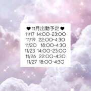 ヒメ日記 2025/11/15 23:08 投稿 はるか 品川ハイブリッドマッサージ