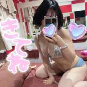 ヒメ日記 2025/04/02 11:03 投稿 らく【完全未経験の純粋美少女】 ポニーテール和歌山店