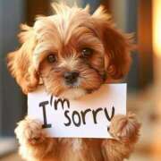 ヒメ日記 2025/07/07 09:58 投稿 らく【完全未経験の純粋美少女】 ポニーテール和歌山店