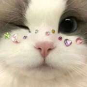 ヒメ日記 2025/09/25 10:52 投稿 らく【完全未経験の純粋美少女】 ポニーテール和歌山店