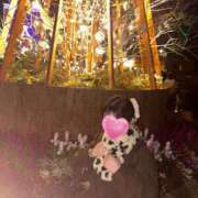 ヒメ日記 2025/12/26 22:33 投稿 らく【完全未経験の純粋美少女】 ポニーテール和歌山店