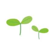 双葉 🙇‍♀️⋆꙳ おとなのわいせつ倶楽部 池袋店