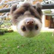 ヒメ日記 2025/03/11 16:05 投稿 みゆき 中洲秘密倶楽部