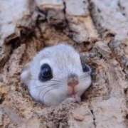 ヒメ日記 2025/06/22 13:45 投稿 みゆき 中洲秘密倶楽部