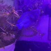 ヒメ日記 2025/08/04 13:45 投稿 みゆき 中洲秘密倶楽部