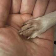 ヒメ日記 2025/08/13 22:55 投稿 みゆき 中洲秘密倶楽部