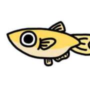 ヒメ日記 2025/09/13 11:45 投稿 みゆき 中洲秘密倶楽部