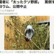 ヒメ日記 2026/06/08 19:35 投稿 みゆき 中洲秘密倶楽部