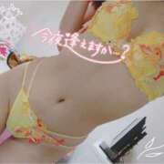 ヒメ日記 2025/04/06 16:29 投稿 ゆいな チューリップ姫路店