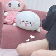 ヒメ日記 2025/03/14 09:25 投稿 しゅり 渋谷くいーんず