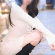 ヒメ日記 2024/12/19 12:06 投稿 金鑚 京佳（かなさな きょうか） 白夜