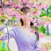 ヒメ日記 2025/04/18 08:25 投稿 金鑚 京佳（かなさな きょうか） 白夜