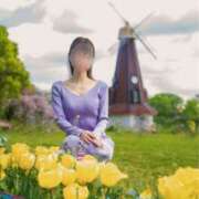 ヒメ日記 2025/05/12 14:34 投稿 金鑚 京佳（かなさな きょうか） 白夜