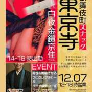 金鑚 京佳（かなさな きょうか） 歌舞伎町スナック東京寺 白夜