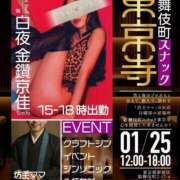 ヒメ日記 2026/01/27 18:02 投稿 金鑚 京佳（かなさな きょうか） 白夜