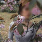 ヒメ日記 2026/03/30 15:01 投稿 金鑚 京佳（かなさな きょうか） 白夜