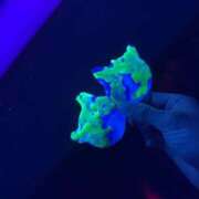 ヒメ日記 2024/12/27 19:07 投稿 あさひ CLUB DEEP