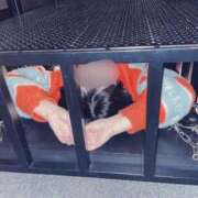 ヒメ日記 2025/02/20 08:24 投稿 あさひ CLUB DEEP