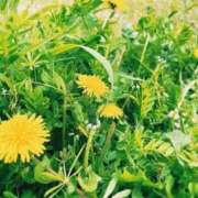 ヒメ日記 2025/04/08 18:44 投稿 あさひ CLUB DEEP