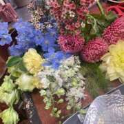 ヒメ日記 2025/04/28 08:54 投稿 あさひ CLUB DEEP