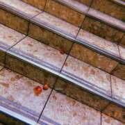 ヒメ日記 2025/05/25 13:14 投稿 あさひ CLUB DEEP