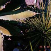 ヒメ日記 2025/05/30 08:14 投稿 あさひ CLUB DEEP