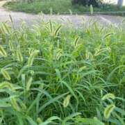 ヒメ日記 2025/10/29 23:34 投稿 あさひ CLUB DEEP