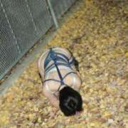 あさひ 今日は出勤🐕 CLUB DEEP