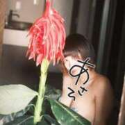 ヒメ日記 2026/05/13 09:24 投稿 あさひ CLUB DEEP