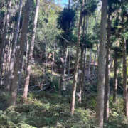 ヒメ日記 2026/10/20 10:34 投稿 あさひ CLUB DEEP