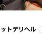 ヒメ日記 2025/05/13 00:36 投稿 マイカ ロボットデリヘル