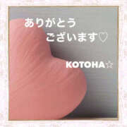 ヒメ日記 2025/08/11 22:30 投稿 ことは 尻舐め女